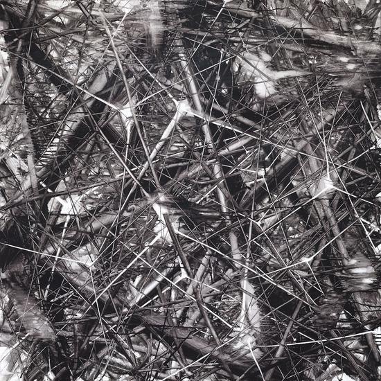 线象现象|“交织的丛林”朱维彬个人画展开幕