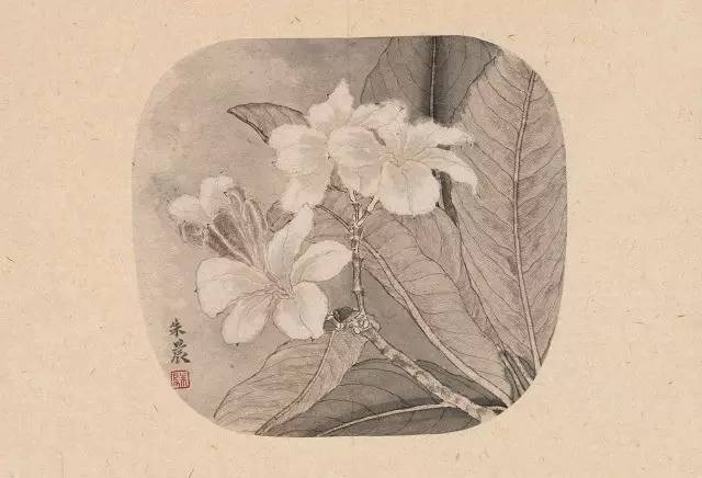 展讯 | “点秋香”——五人画展的五色之魅