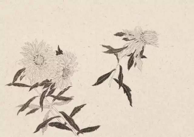 展讯 | “点秋香”——五人画展的五色之魅