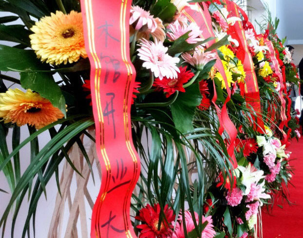 中国4D美朮馆挂牌开馆仪式