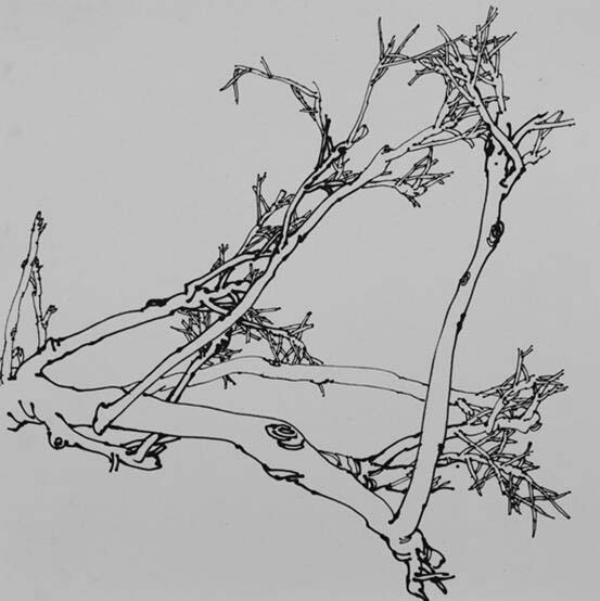 首都师范大学吉瑞森工作室2017春季写生班写生课堂实录之二(写生的技巧、要求和规则)