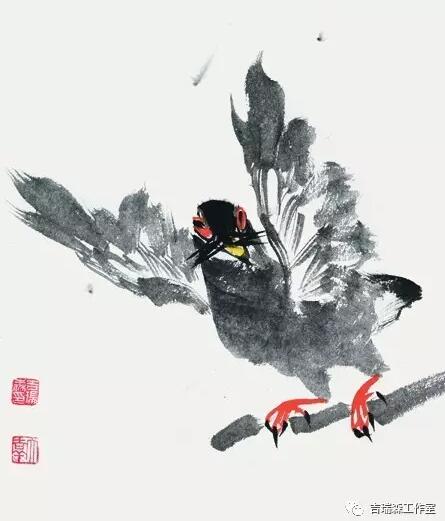 跟吉瑞森教授学画禽鸟----《八哥》