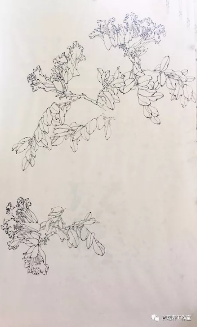 吉瑞森工作室2018年春季写生第一堂课——意笔与线描两种形式的写生《火焰花》