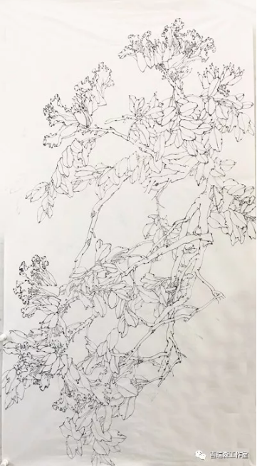 吉瑞森工作室2018年春季写生第一堂课——意笔与线描两种形式的写生《火焰花》