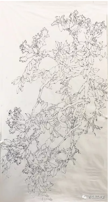 吉瑞森工作室2018年春季写生第一堂课——意笔与线描两种形式的写生《火焰花》