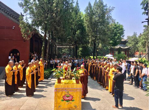 调调——王雅君油画风景展亮相白马寺释源美术馆（组图）