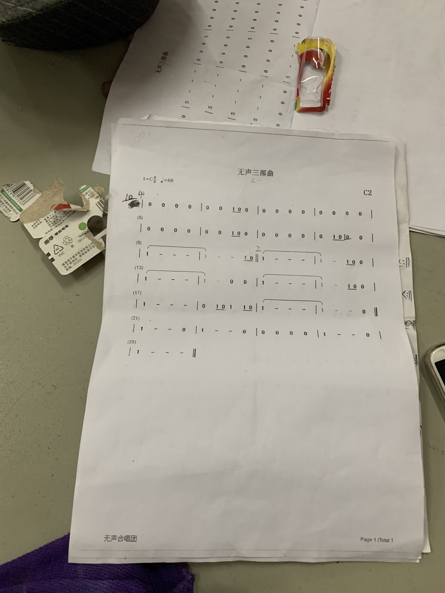 深度观察：无声世界的“歌者”