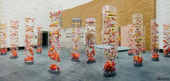新春大展——金陵美术馆变成“锦鲤的海洋”