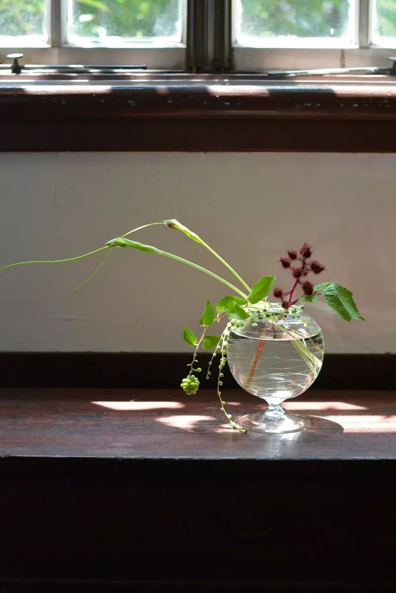 独家探访日本最美器物店，一年24场展览场场轰动