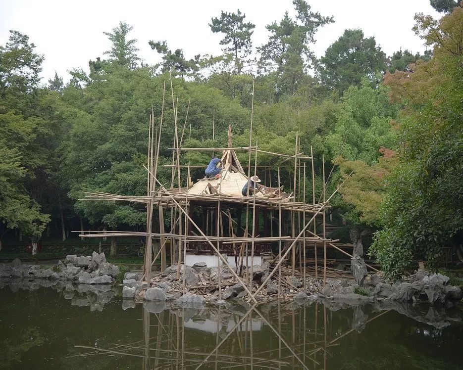 淘喜：透过照片，与苏州的景致和记忆相遇