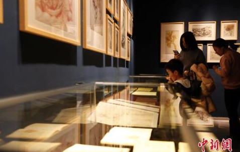 资料图：包括达芬奇人物素描、机械、几何、建筑、解剖、自然、军事工程等手稿展出。汤彦俊 摄