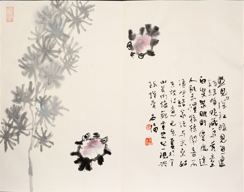 个山美术馆之“赏昙雅集”