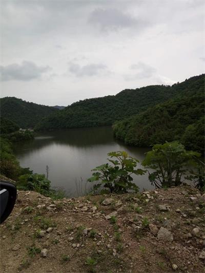 大别山红色文化书画写生创作基地揭牌仪式暨书画展在金寨县南溪镇花园村圆满举行